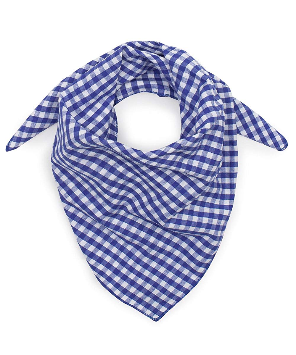 Classic Neckerchief - Small Blue Check